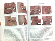 NEW - How to play the JEWS HARP / jaw harp. Complete tuition with CD - Sound For Health
 - 2