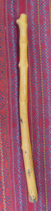 Didgeridoo - slim wood in C