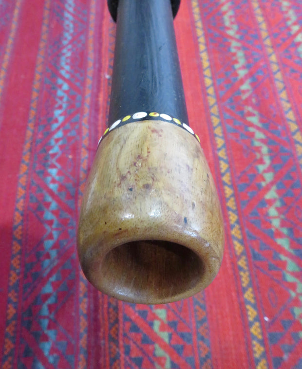 Didgeridoo - 1st gen Dr Didge slider